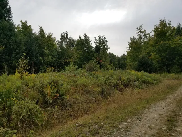 $109,900 | 0 Beaver Lane, Linneus, ME 04730