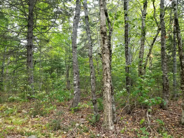 $109,900 | 0 Beaver Lane, Linneus, ME 04730