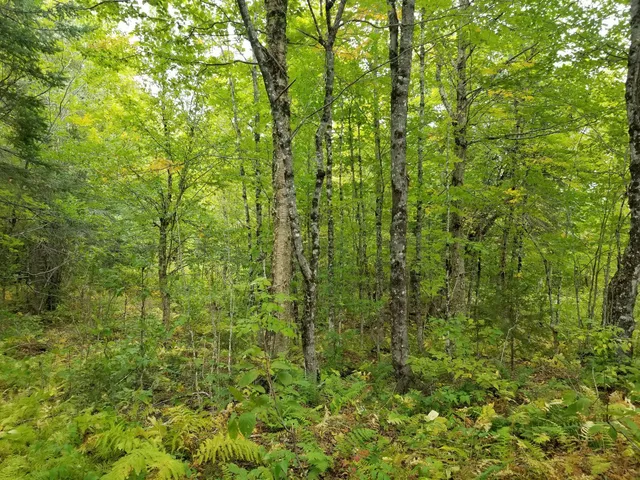 $109,900 | 0 Beaver Lane, Linneus, ME 04730