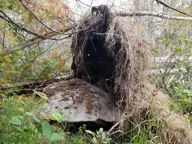 $109,900 | 0 Beaver Lane, Linneus, ME 04730