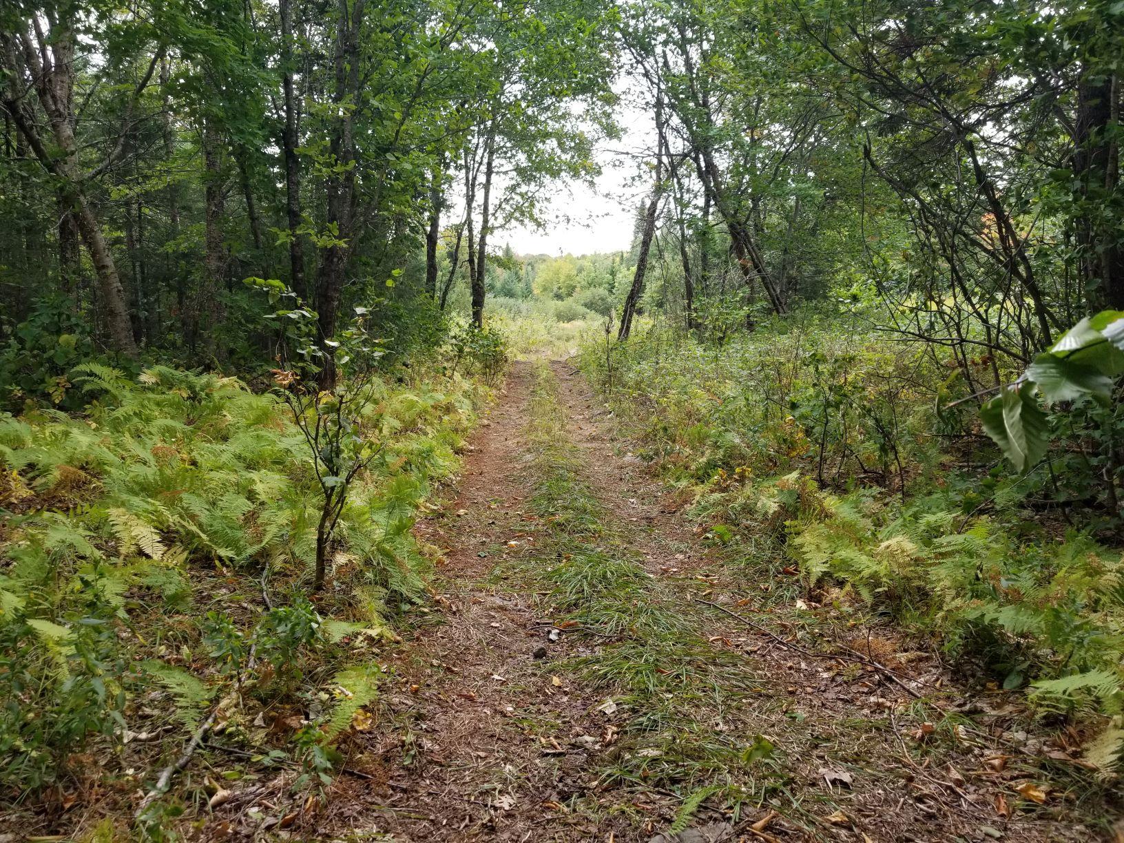 0 Beaver Lane Linneus, ME 04730 - Photo 2 of 39 ATV trail looking back to Beaver Lane
