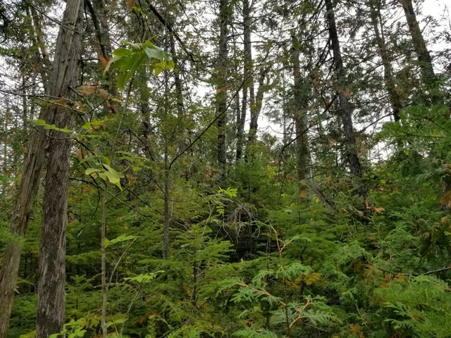 $109,900 | 0 Beaver Lane, Linneus, ME 04730