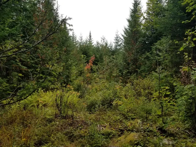 $109,900 | 0 Beaver Lane, Linneus, ME 04730