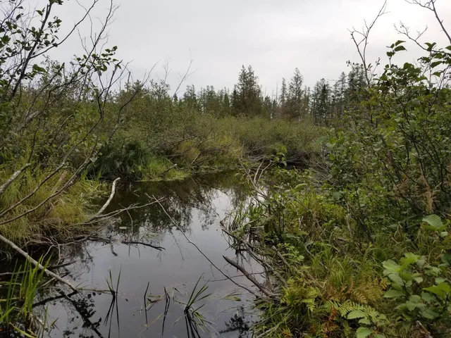 $109,900 | 0 Beaver Lane, Linneus, ME 04730