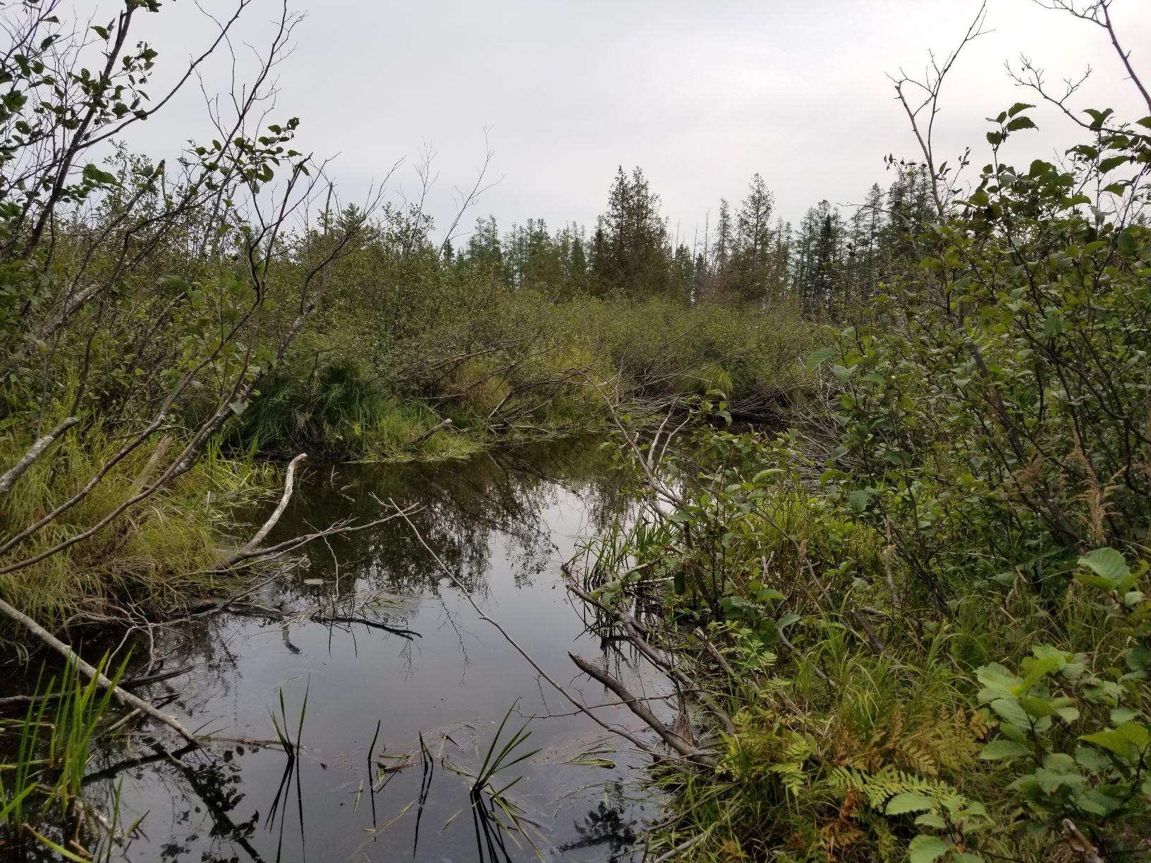 0 Beaver Lane Linneus, ME 04730 - Photo 26 of 39 Little Beaver Brook 2