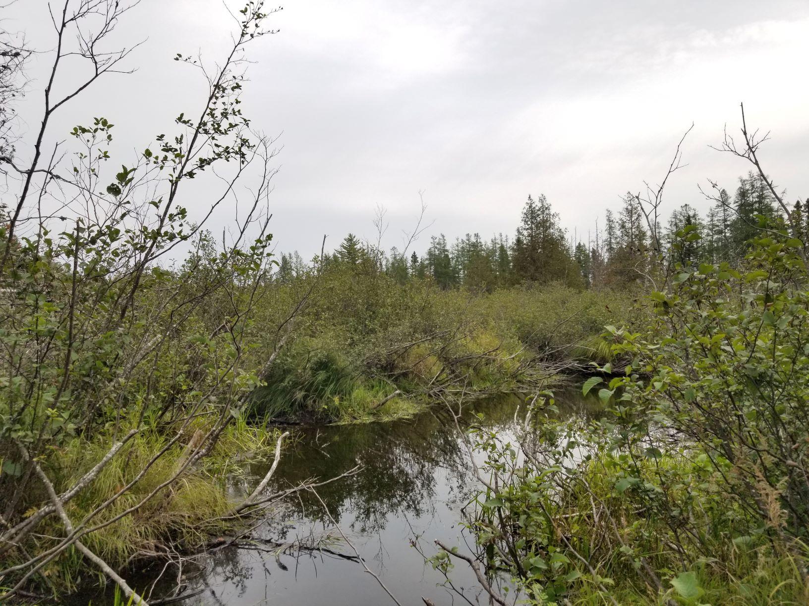 0 Beaver Lane Linneus, ME 04730 - Photo 27 of 39 Little Beaver Brook 3