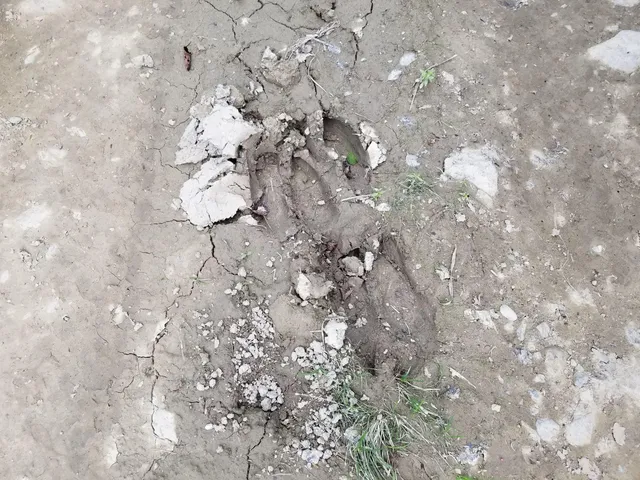 $109,900 | 0 Beaver Lane, Linneus, ME 04730