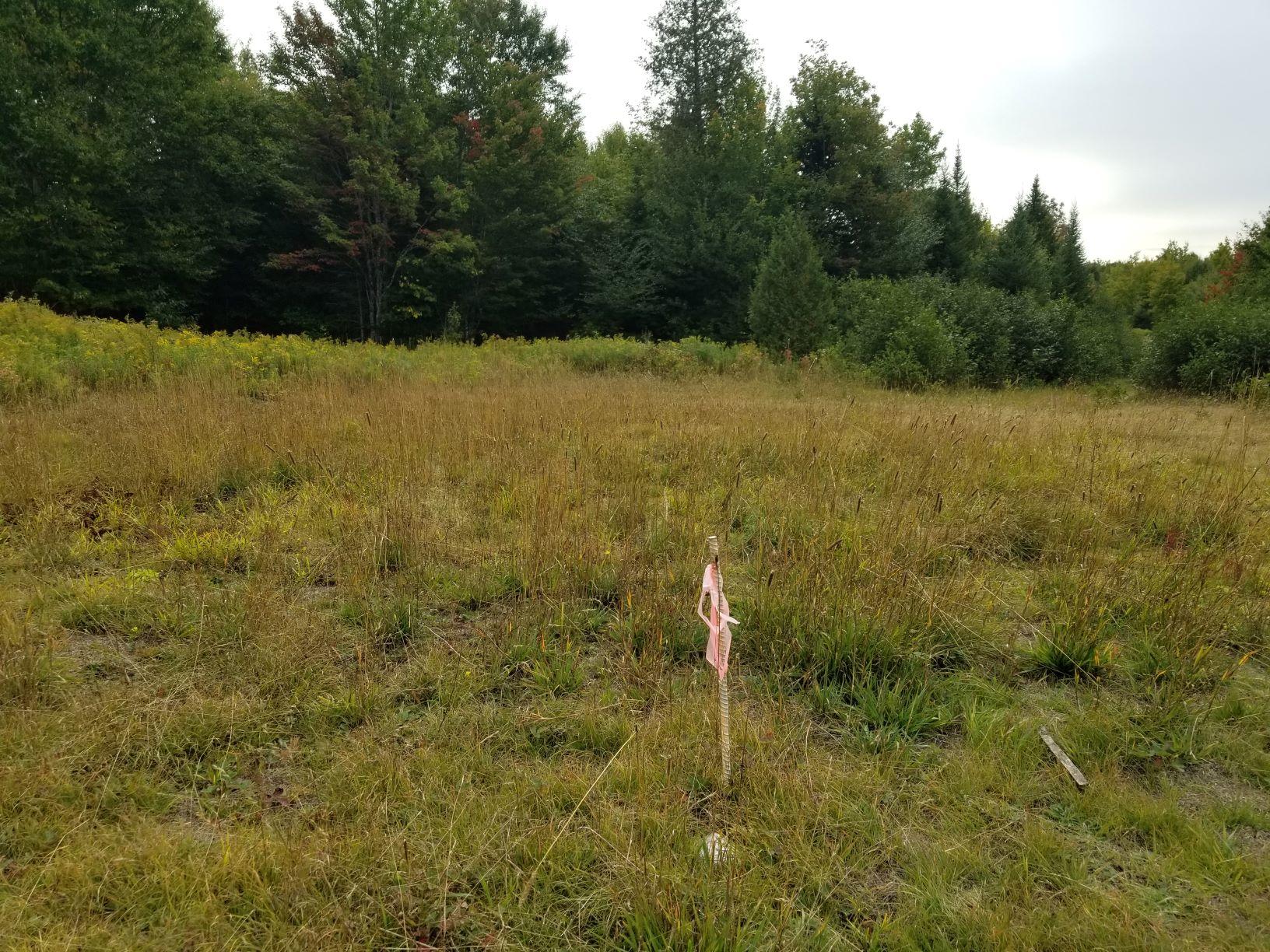 0 Beaver Lane Linneus, ME 04730 - Photo 32 of 39 Pin at end of Beaver Lane in opening 2