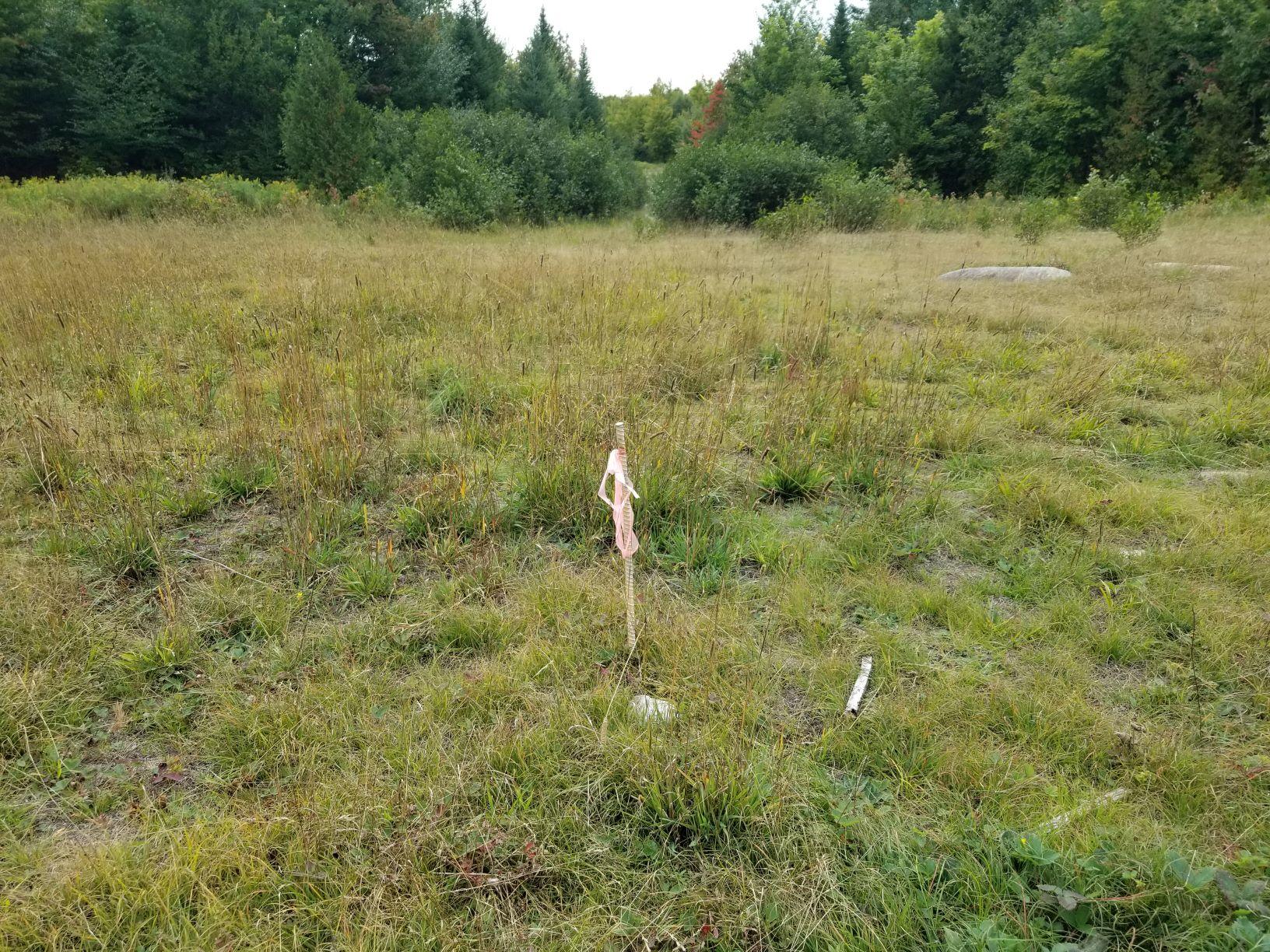 0 Beaver Lane Linneus, ME 04730 - Photo 33 of 39 Pin at end of Beaver Lane in opening