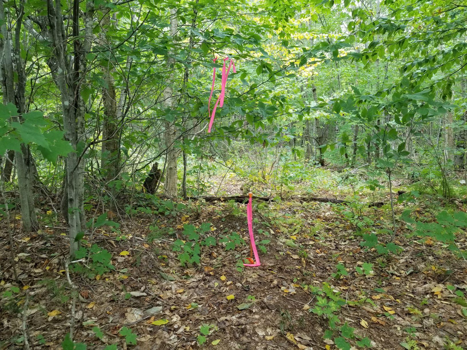 0 Beaver Lane Linneus, ME 04730 - Photo 36 of 39 Southwest Prop corner pin Beaver Lane 2