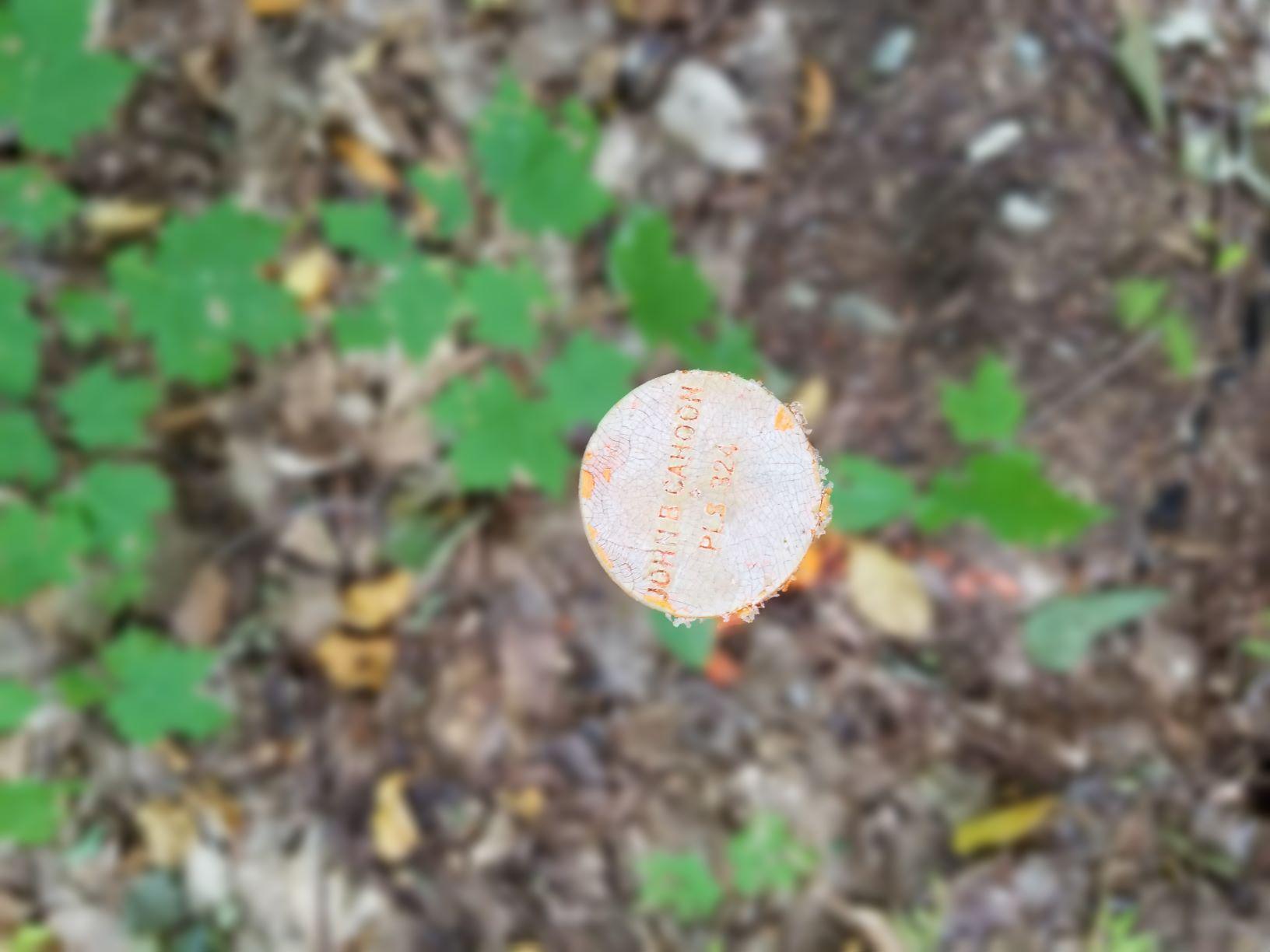 0 Beaver Lane Linneus, ME 04730 - Photo 37 of 39 Southwest Prop corner pin Beaver Lane