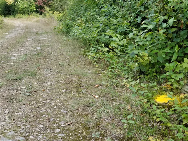 $109,900 | 0 Beaver Lane, Linneus, ME 04730