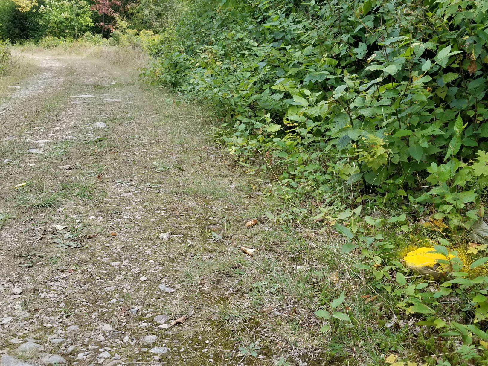 0 Beaver Lane Linneus, ME 04730 - Photo 38 of 39 Southwest Prop corner yellow rock along