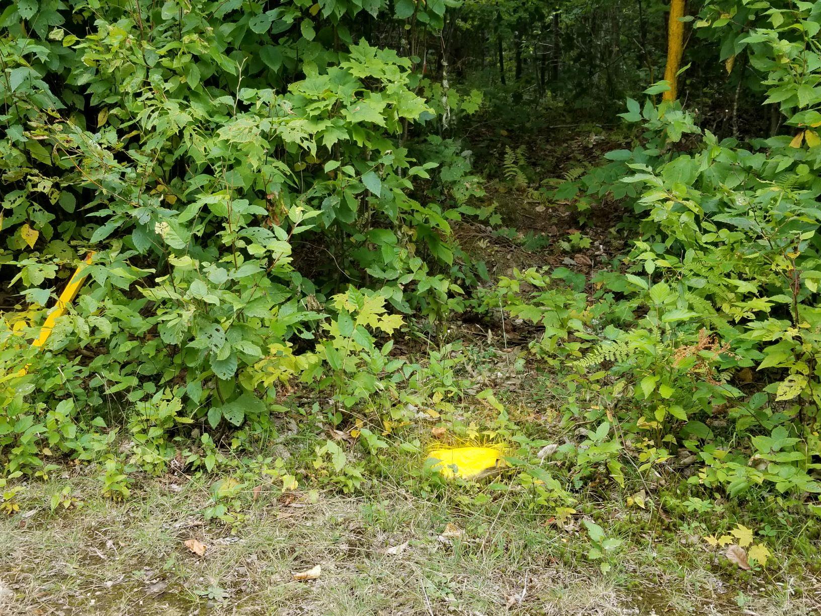 0 Beaver Lane Linneus, ME 04730 - Photo 39 of 39 Southwest Prop corner yellow rock along