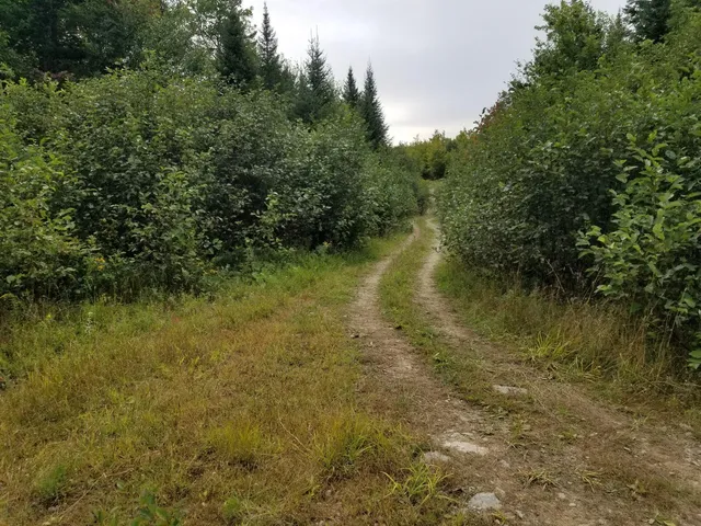 $109,900 | 0 Beaver Lane, Linneus, ME 04730