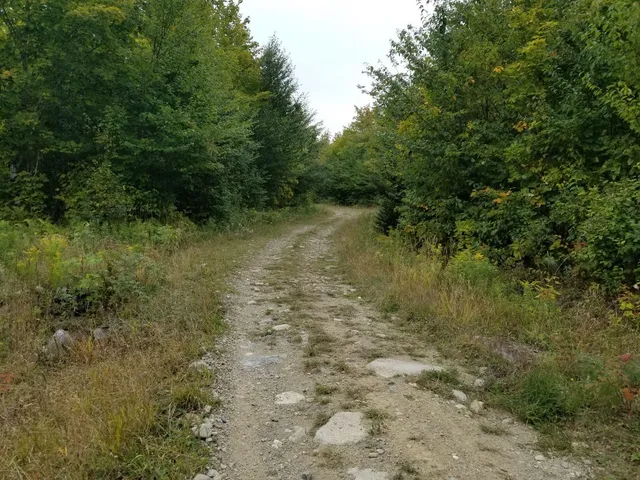 $109,900 | 0 Beaver Lane, Linneus, ME 04730