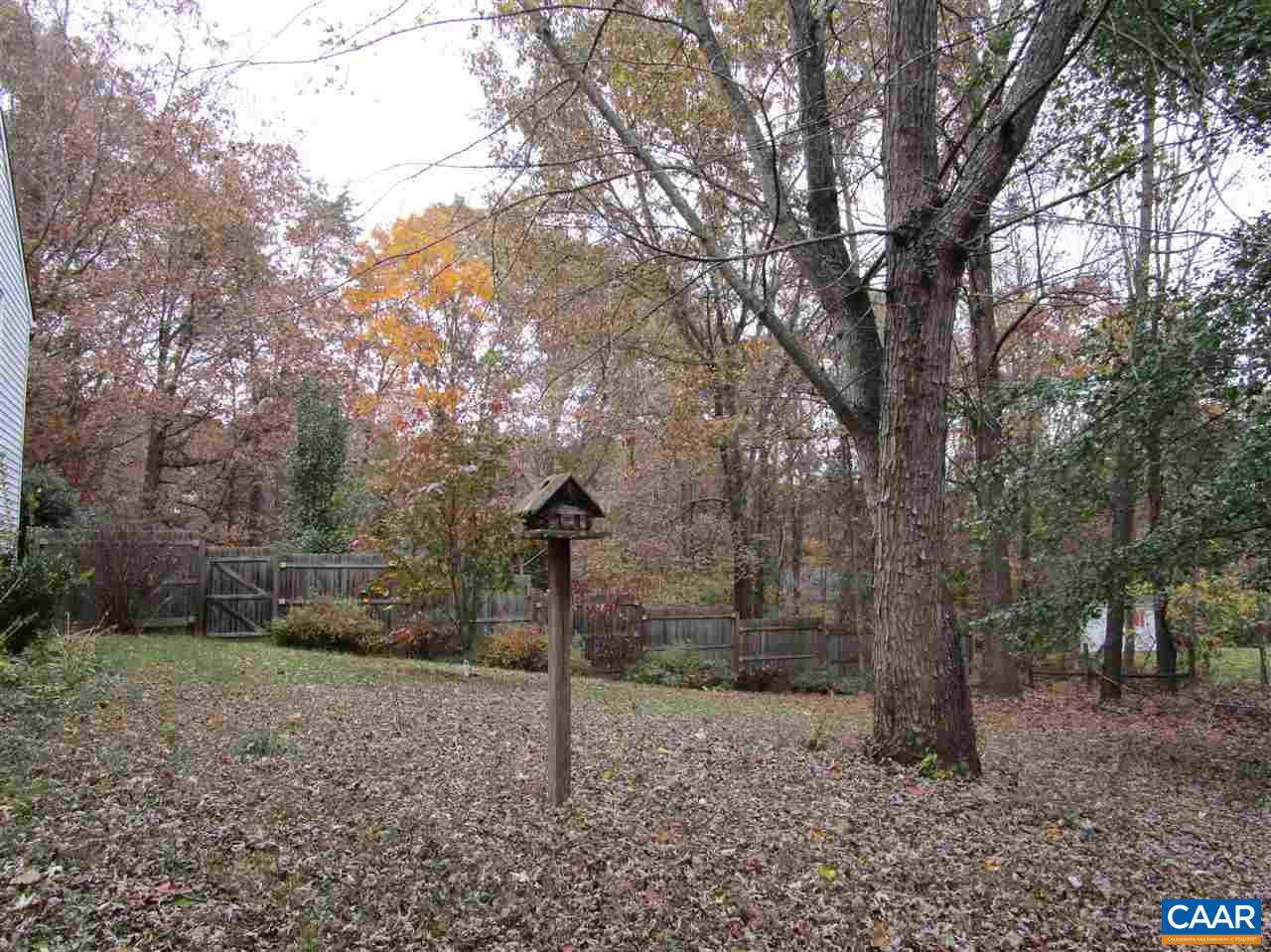 699 Carnation Road Ruckersville, VA 22968 - Photo 35 of 40 a view of a park
