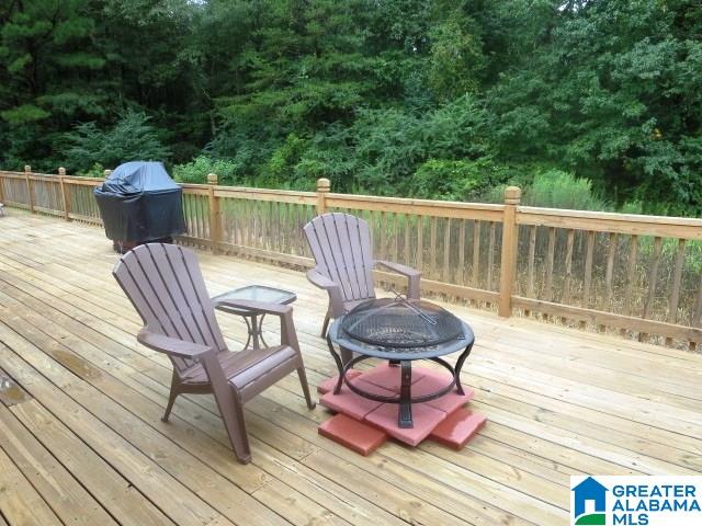 379 Driggers Road Lineville, AL 36266 - Photo 18 of 22 Gallery Image 18
