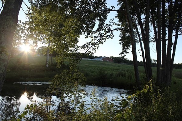 64 Fiskdale Road Brookfield, MA 01506 - Photo 39 of 42 a view of a lake from a yard