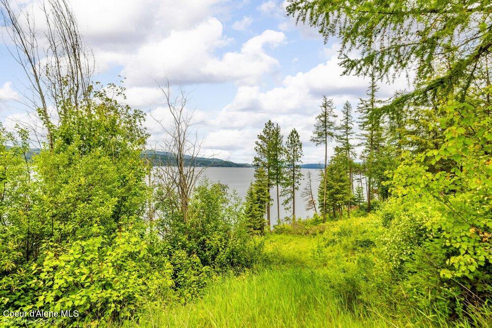 Nna South Powderhorn Bay Road Harrison, ID 83833 - Photo 25 of 30 026_bb193643-26_134