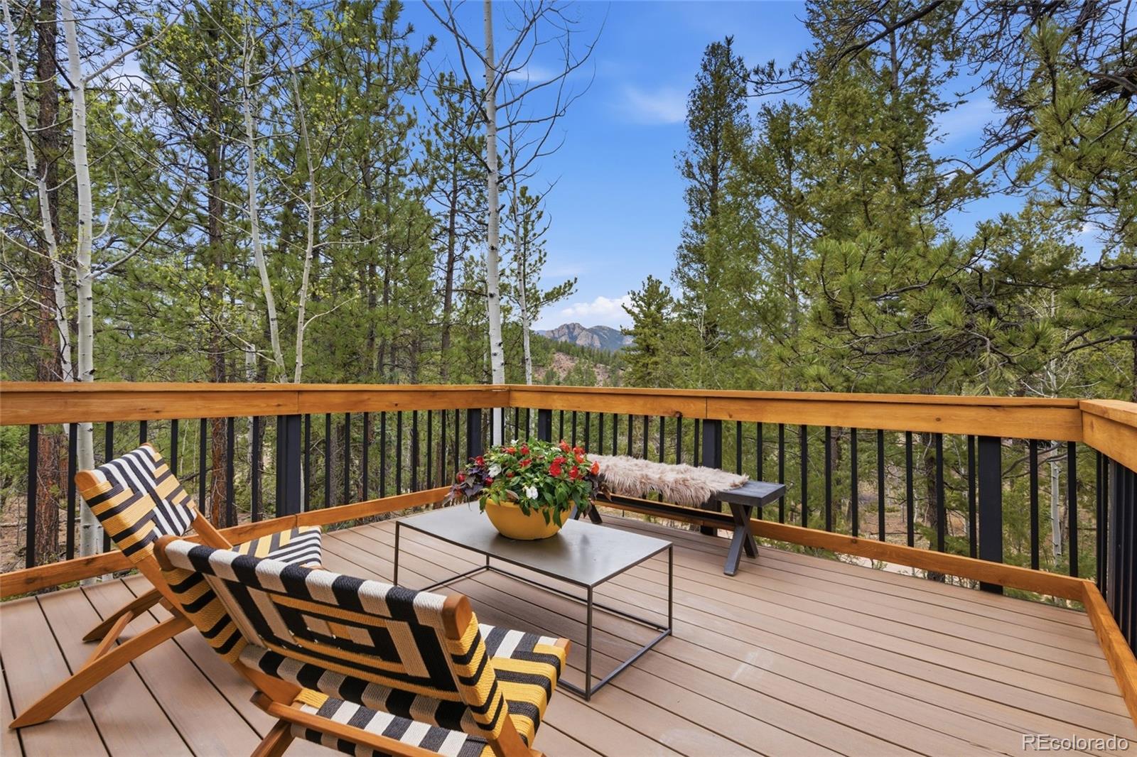 33691 Nova Road Pine, CO 80470 - Photo 4 of 41