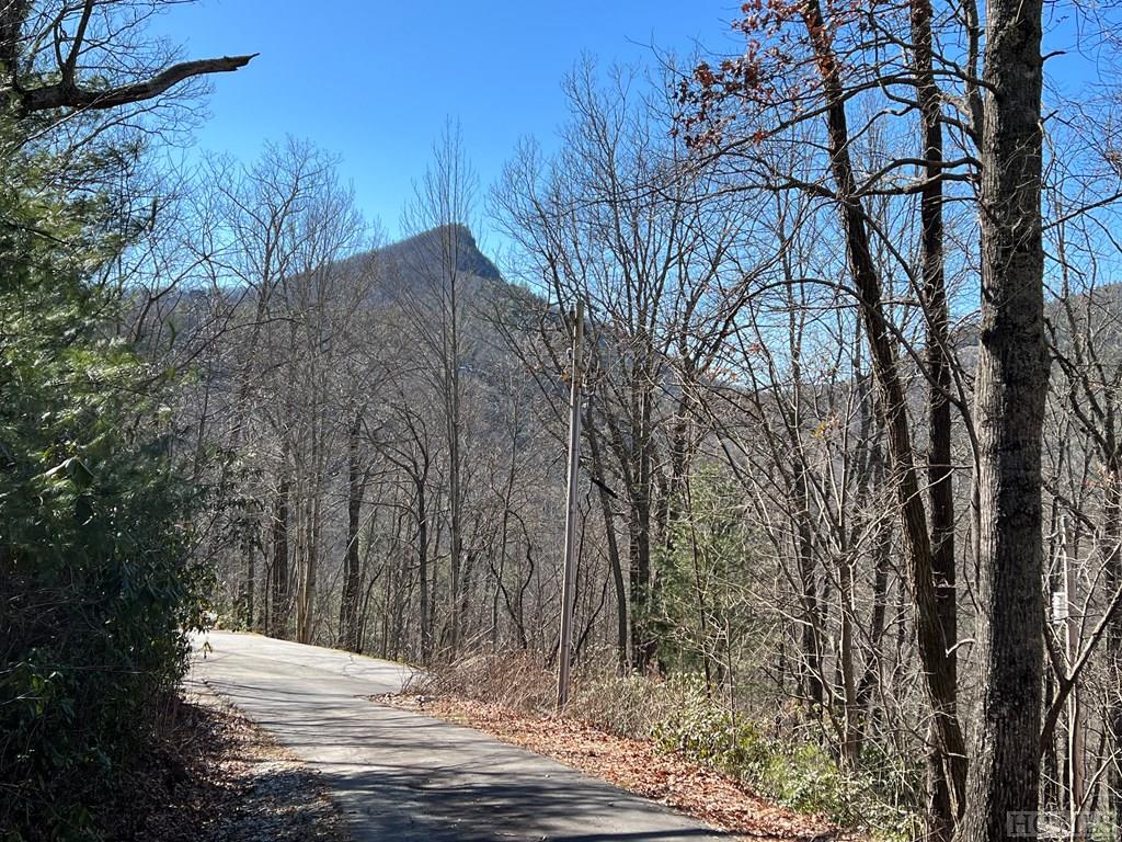 Lot 13 Golf View Road Sapphire, NC 28774 - Photo 3 of 26 Gallery Image 3