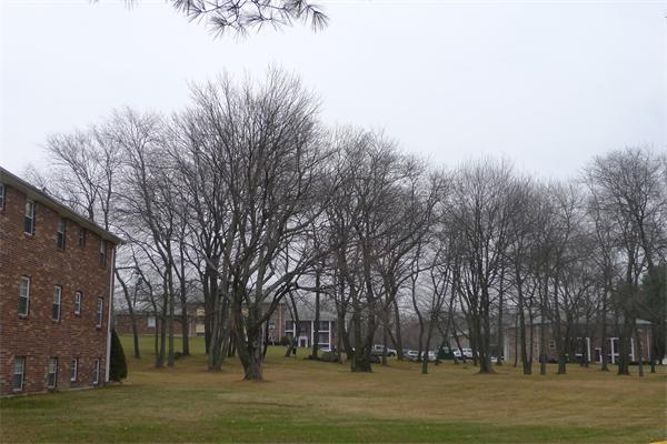 7 Walker Road, Unit 6 North Andover, MA 01845 - Photo 12 of 12
