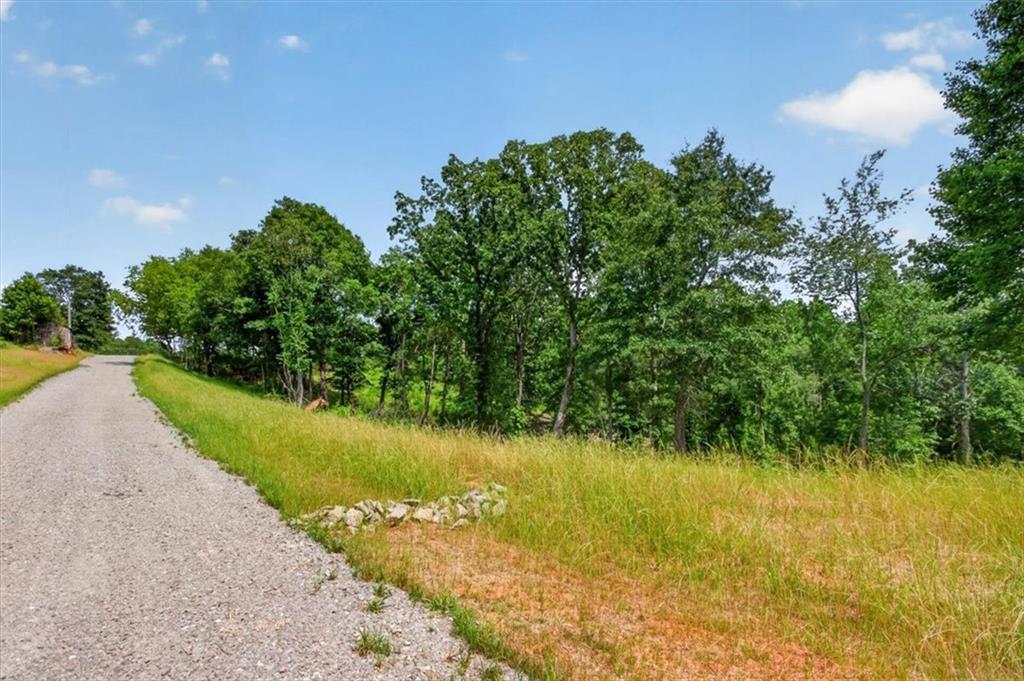 0 Conns Creek Road Ball Ground, GA 30107 - Photo 19 of 57