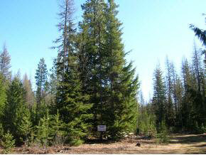 0 Round Mt Road Naples, ID 83847 - Photo 2 of 4