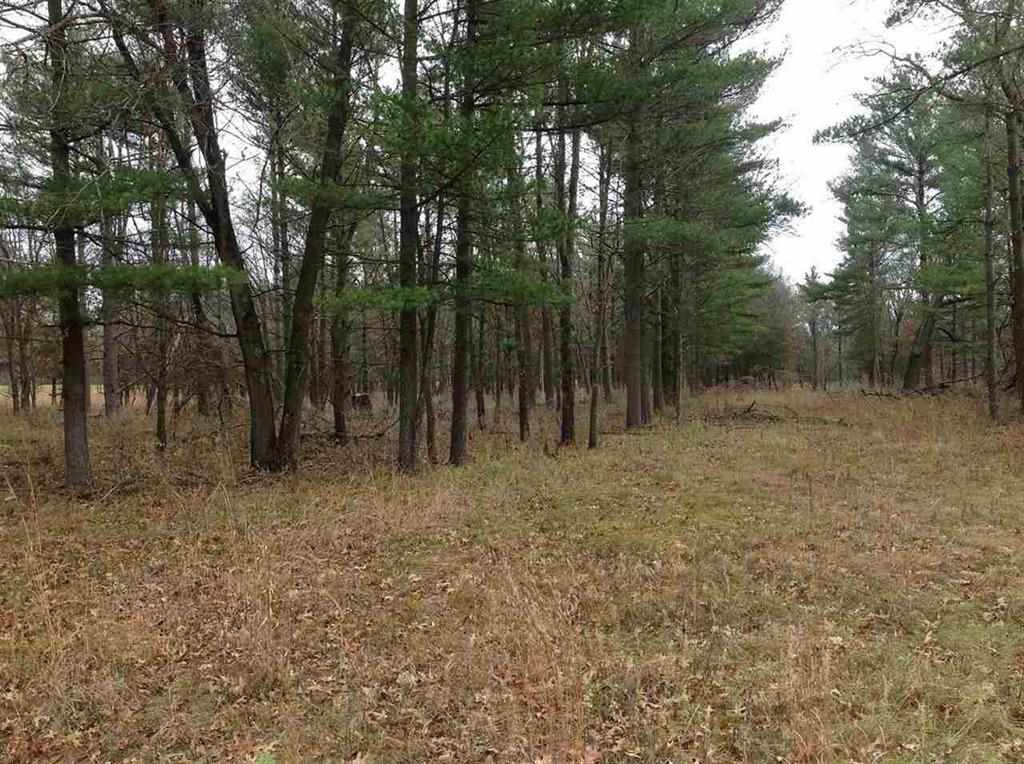 80 ACRES COUNTY Rd O  