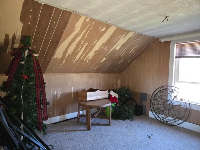 a room with furniture and a potted plant