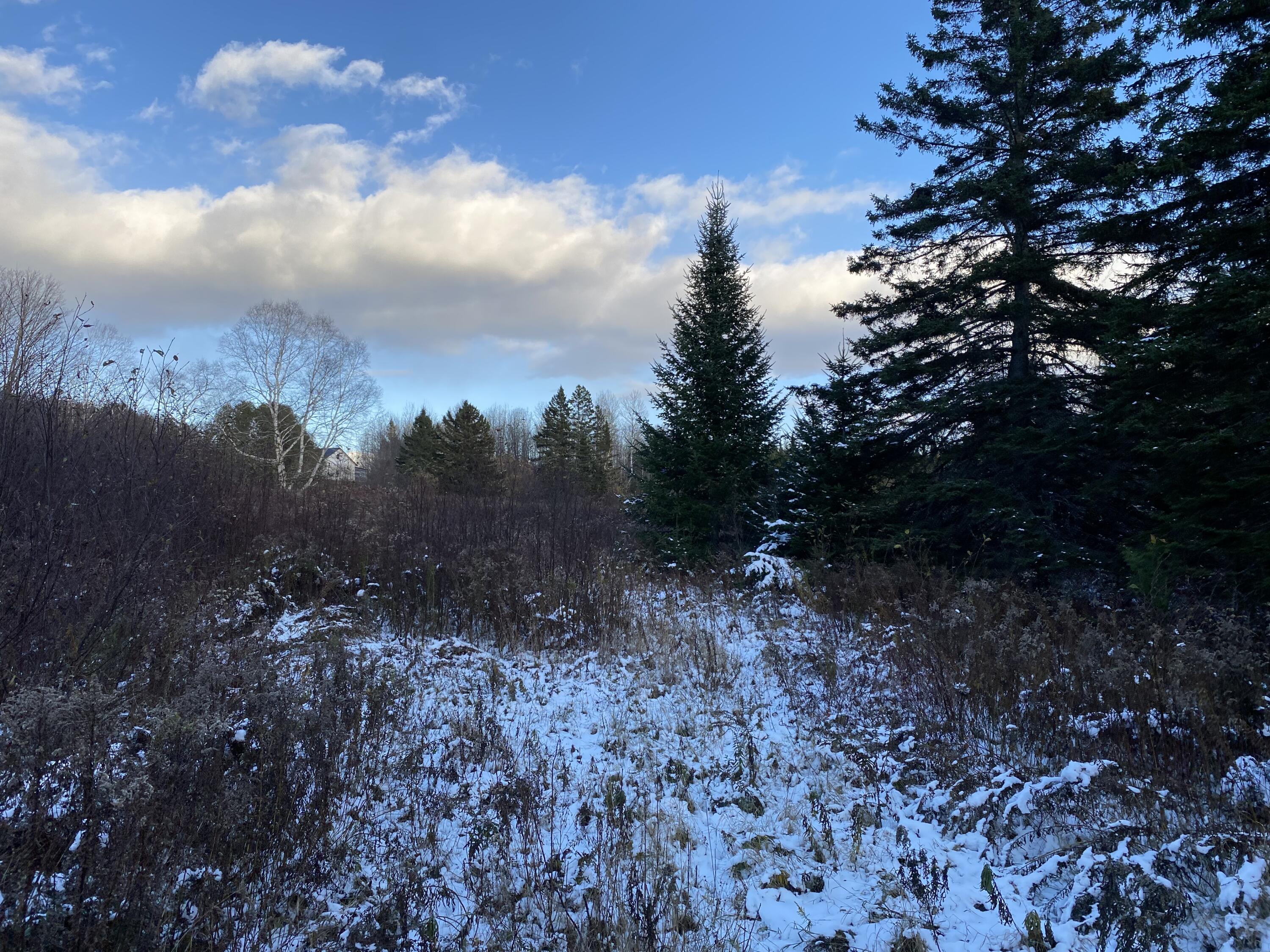 78 Colby Siding Road Woodland, ME 04736 - Photo 16 of 16 75AF320B-87C7-4C20-8FC8-6BEFDAA8273D