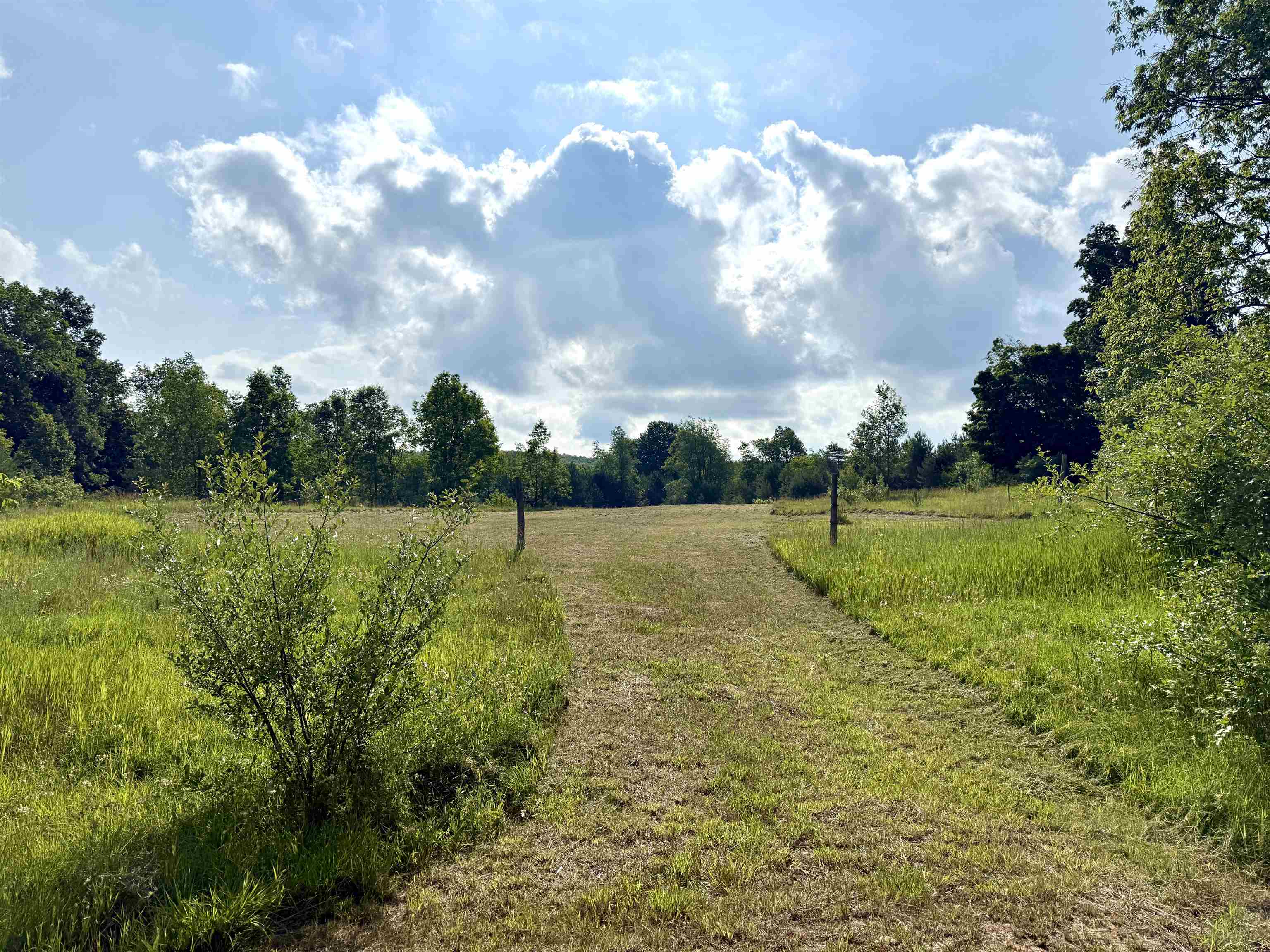 0 North 25 Road Mesick, MI 49668 - Photo 1 of 13