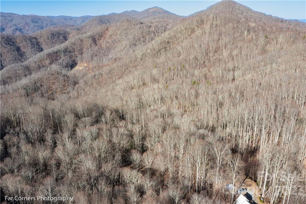 9999 Betsy's Gap Road Clyde, NC 28721 - Photo 4 of 6 a view of a dry yard with mountains in the background