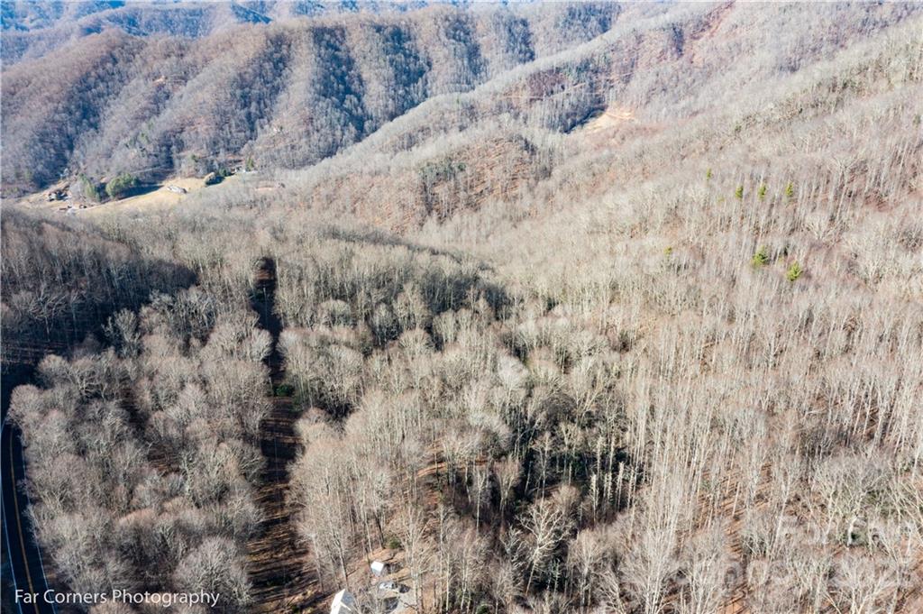 9999 Betsy's Gap Road Clyde, NC 28721 - Photo 5 of 6 a view of a dry yard