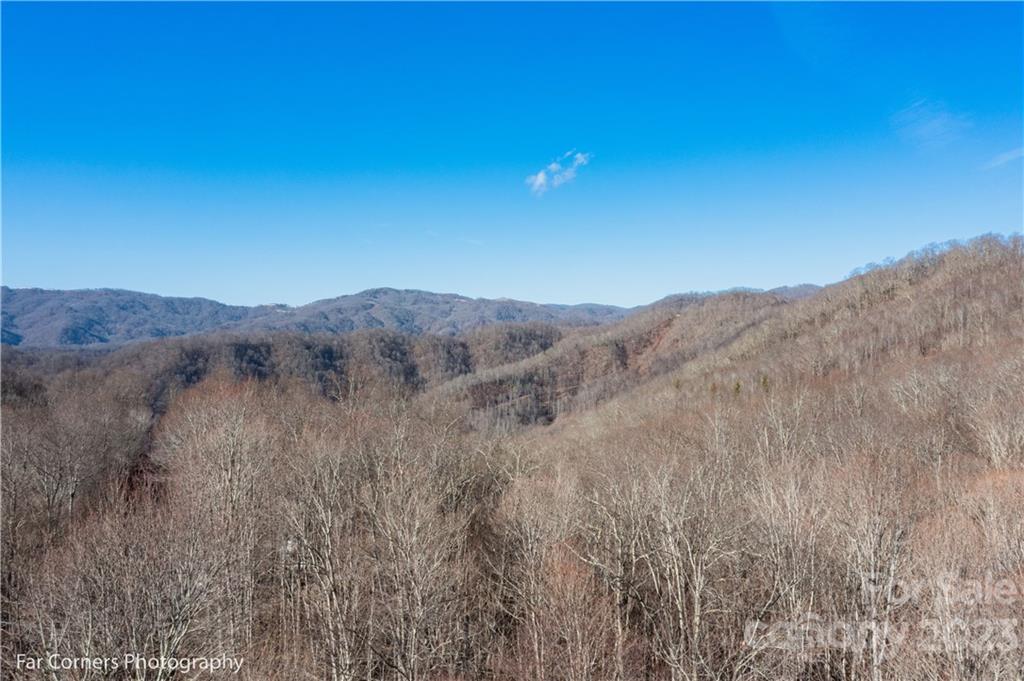 9999 Betsy's Gap Road Clyde, NC 28721 - Photo 6 of 6 a view of a dry field