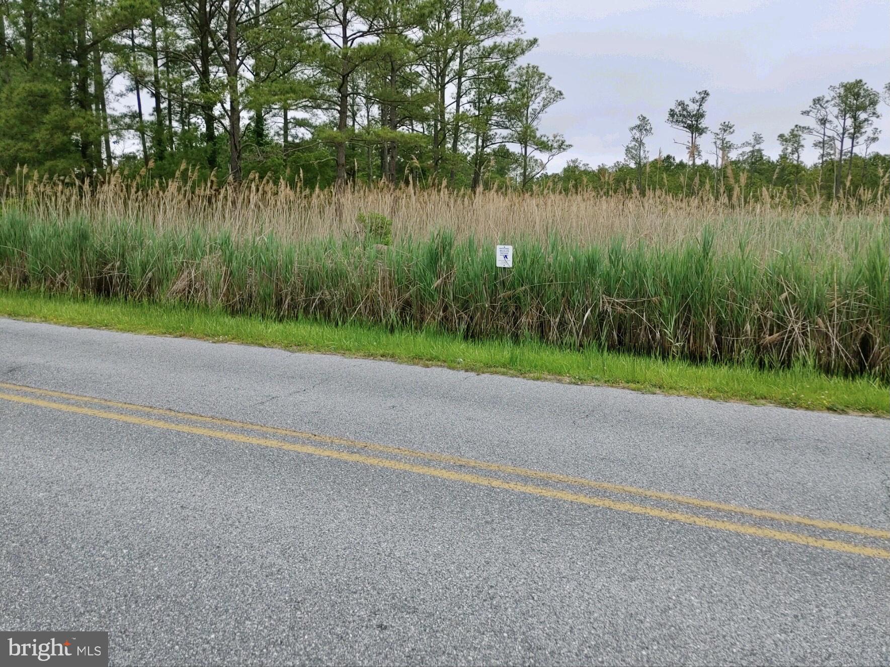 3255 Robbins Road Crapo, MD 21626 - Photo 10 of 13 Gallery Image 10