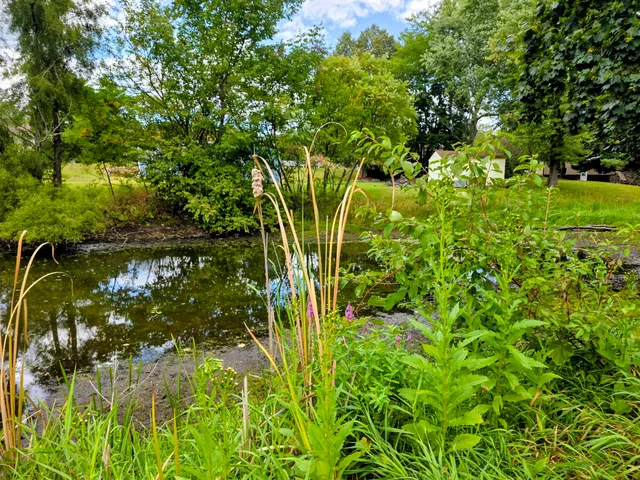 $215,000 | 808 Rolling Meadows Drive, Quincy, MI 49082