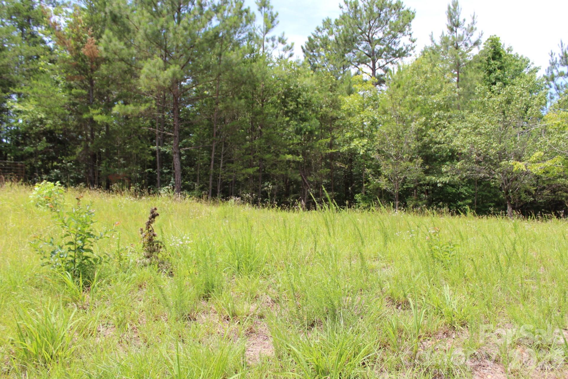 0 John Watson Road Rutherfordton, NC 28139 - Photo 4 of 26 Gallery Image 4