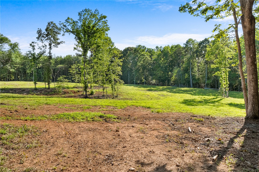 75 Hidden Acres Trail Pelzer, SC 29669 - Photo 14 of 32