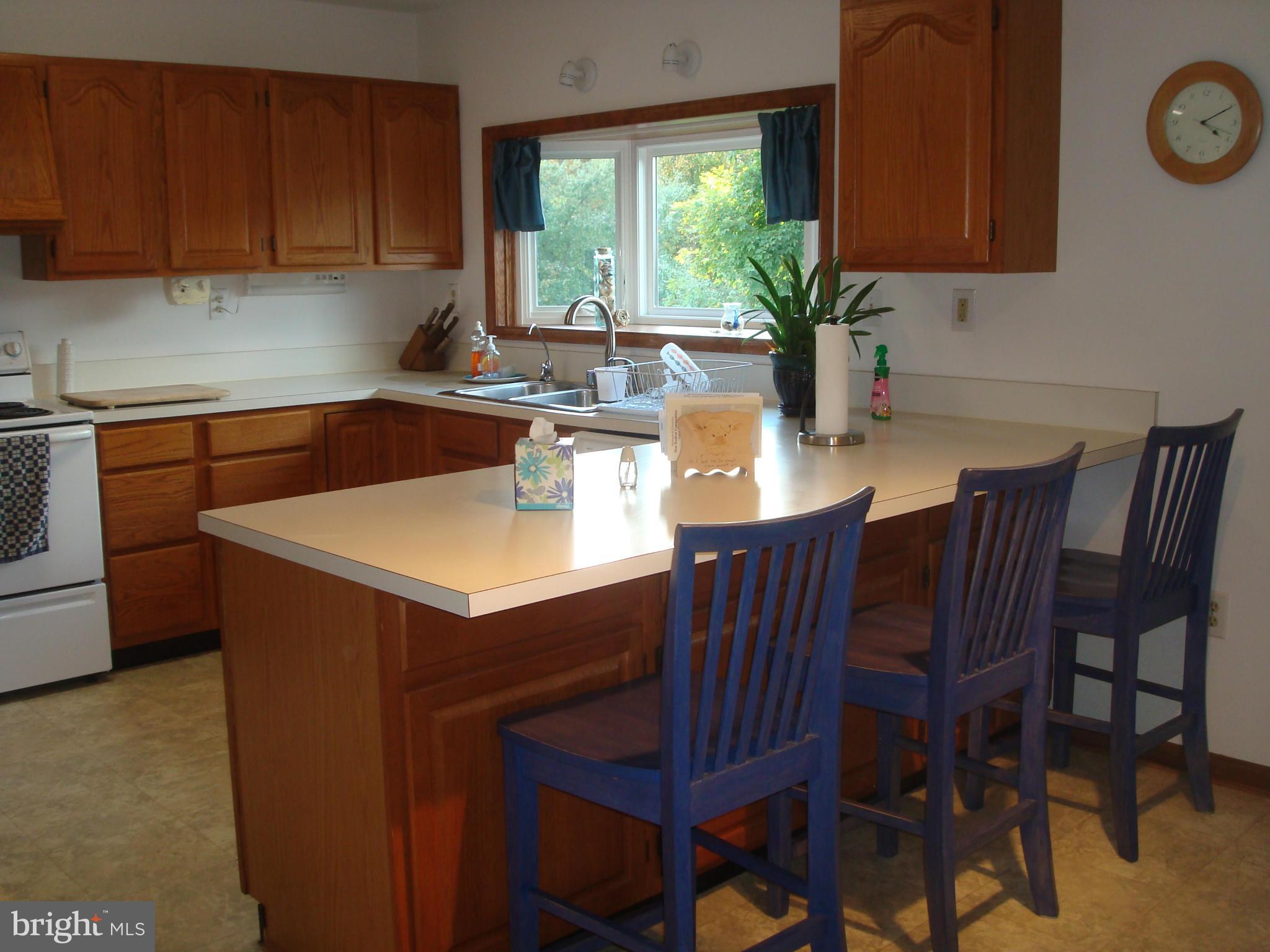 15 East Nicodemus Road Westminster, MD 21157 - Photo 14 of 30 Kitchen
