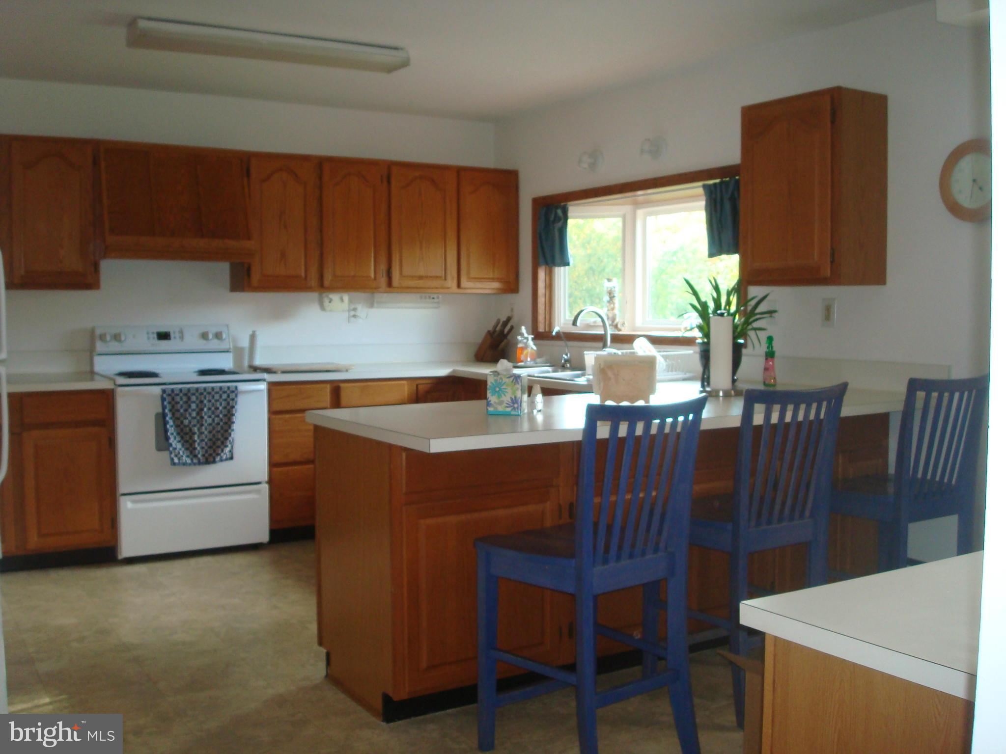 15 East Nicodemus Road Westminster, MD 21157 - Photo 7 of 30 Kitchen