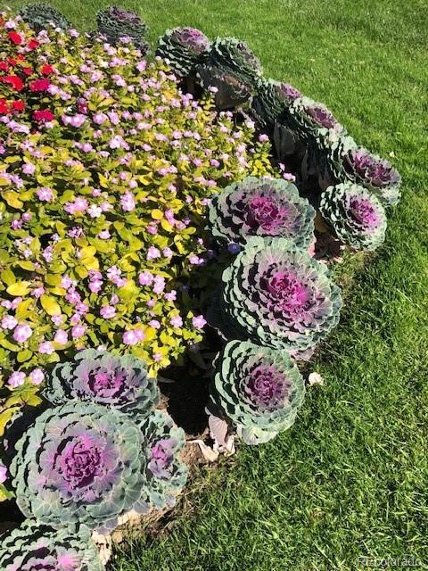 9655 Center Avenue, Unit 5A Denver, CO 80247 - Photo 39 of 45 a view of a flower