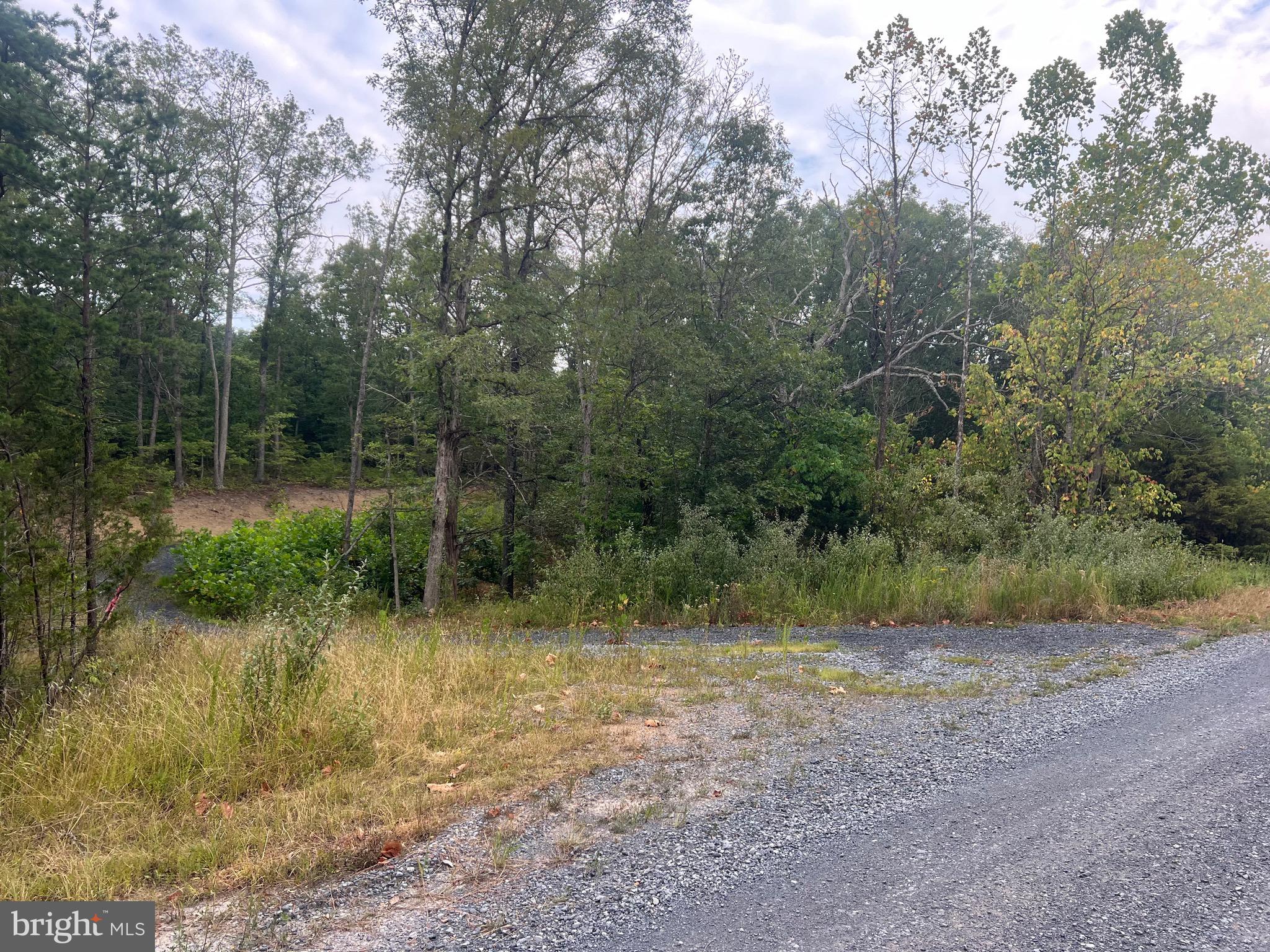 Lot 36 Red Hawk Road Middletown, VA 22645 - Photo 1 of 18
