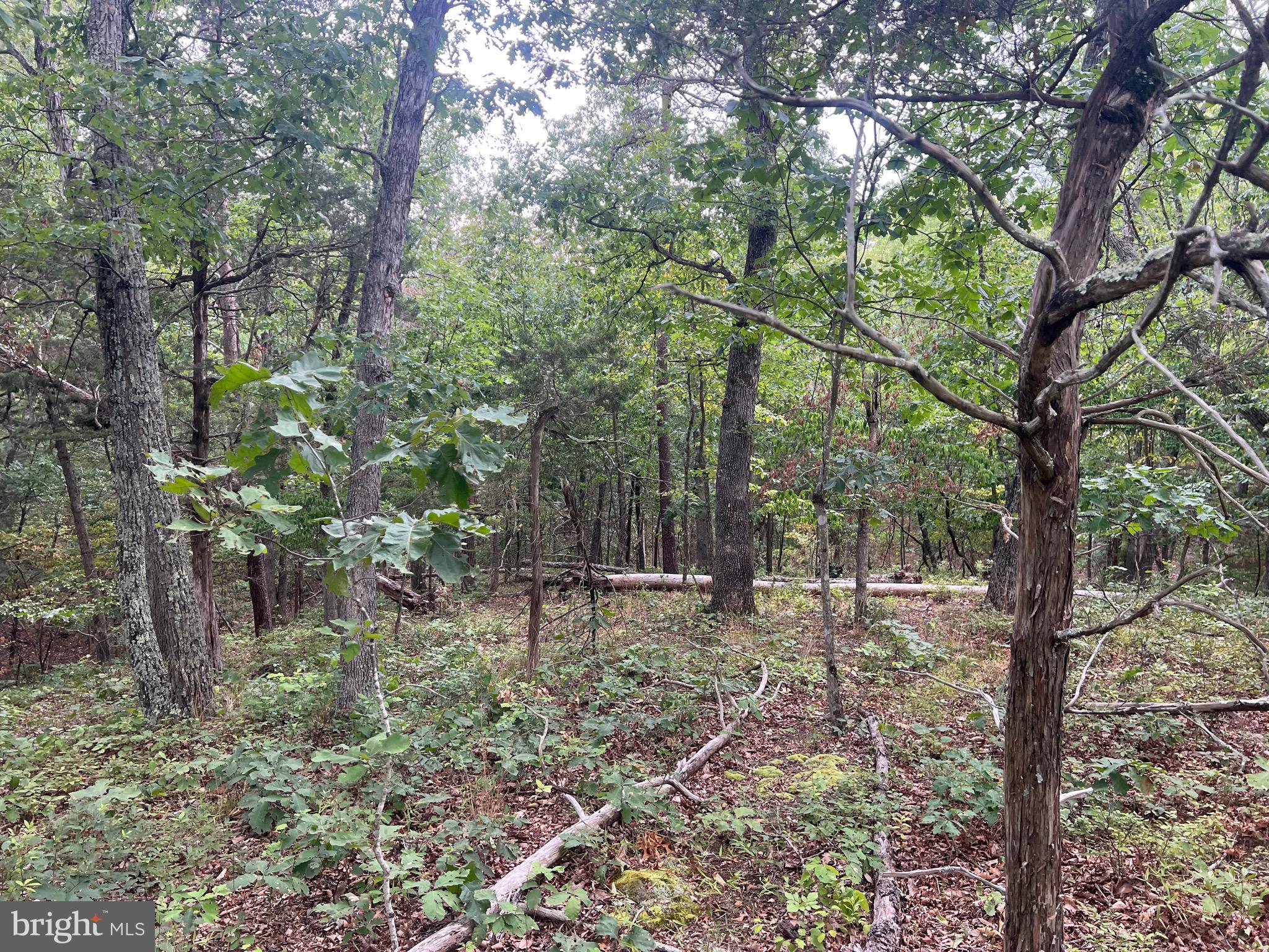 Lot 36 Red Hawk Road Middletown, VA 22645 - Photo 14 of 18