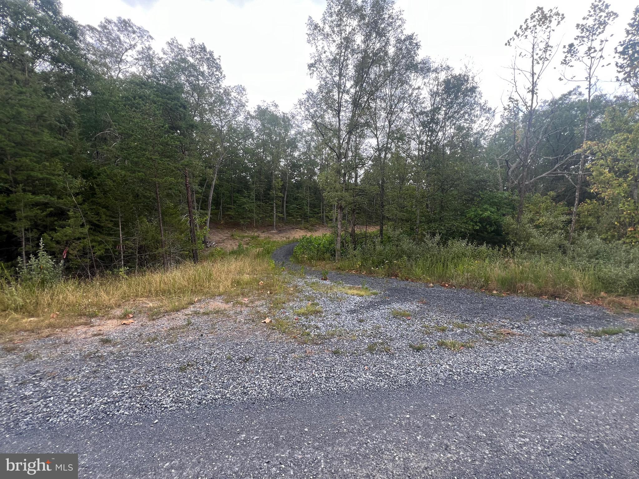 Lot 36 Red Hawk Road Middletown, VA 22645 - Photo 2 of 18