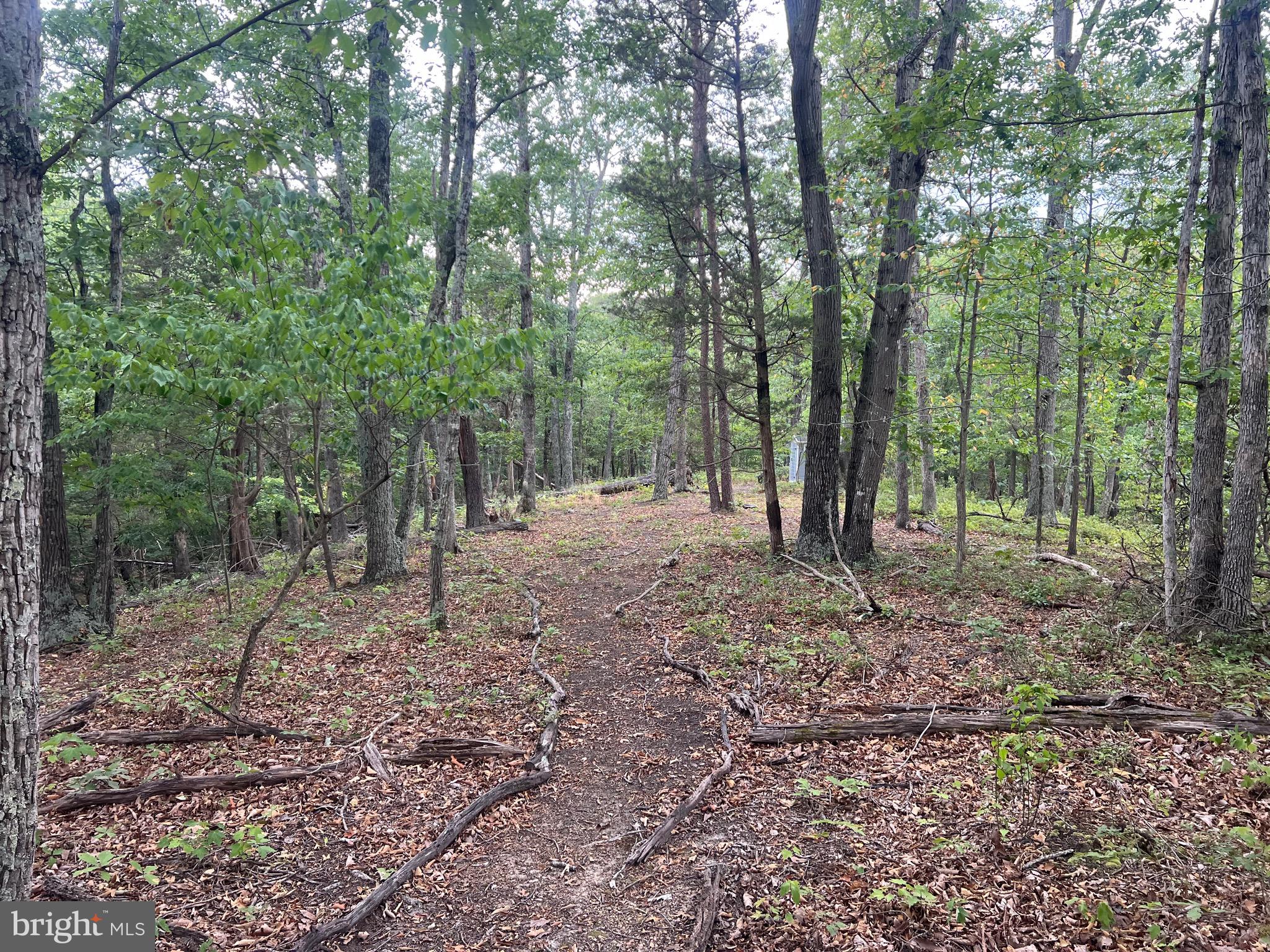 Lot 36 Red Hawk Road Middletown, VA 22645 - Photo 3 of 18