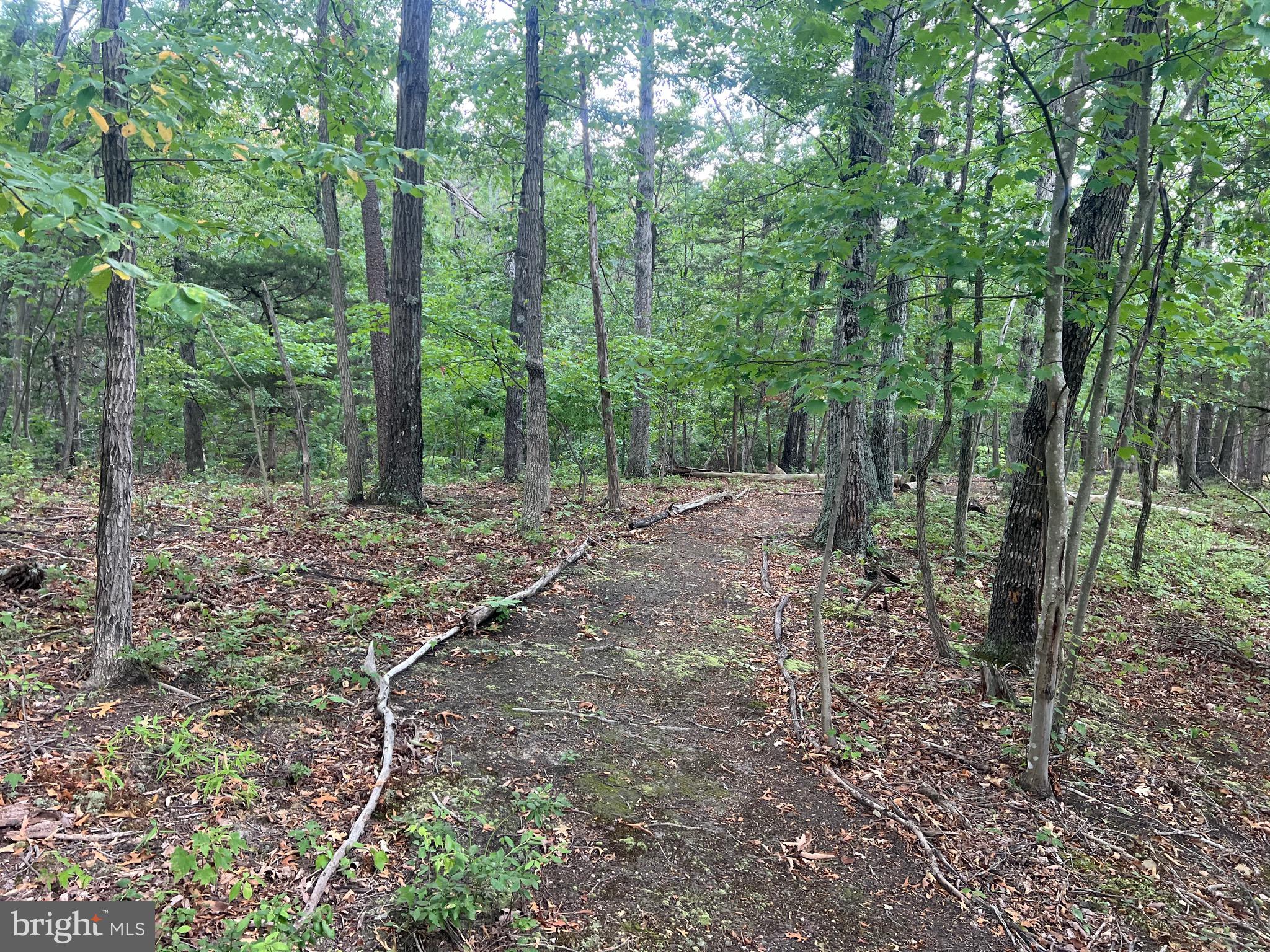 Lot 36 Red Hawk Road Middletown, VA 22645 - Photo 4 of 18