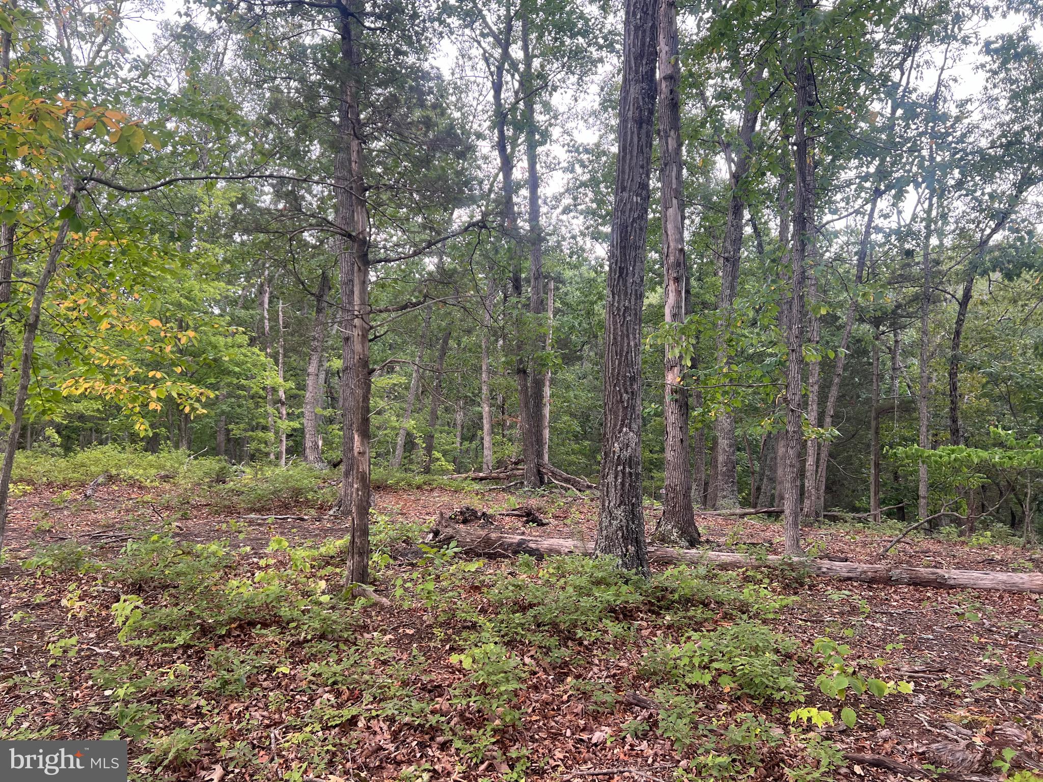 Lot 36 Red Hawk Road Middletown, VA 22645 - Photo 5 of 18