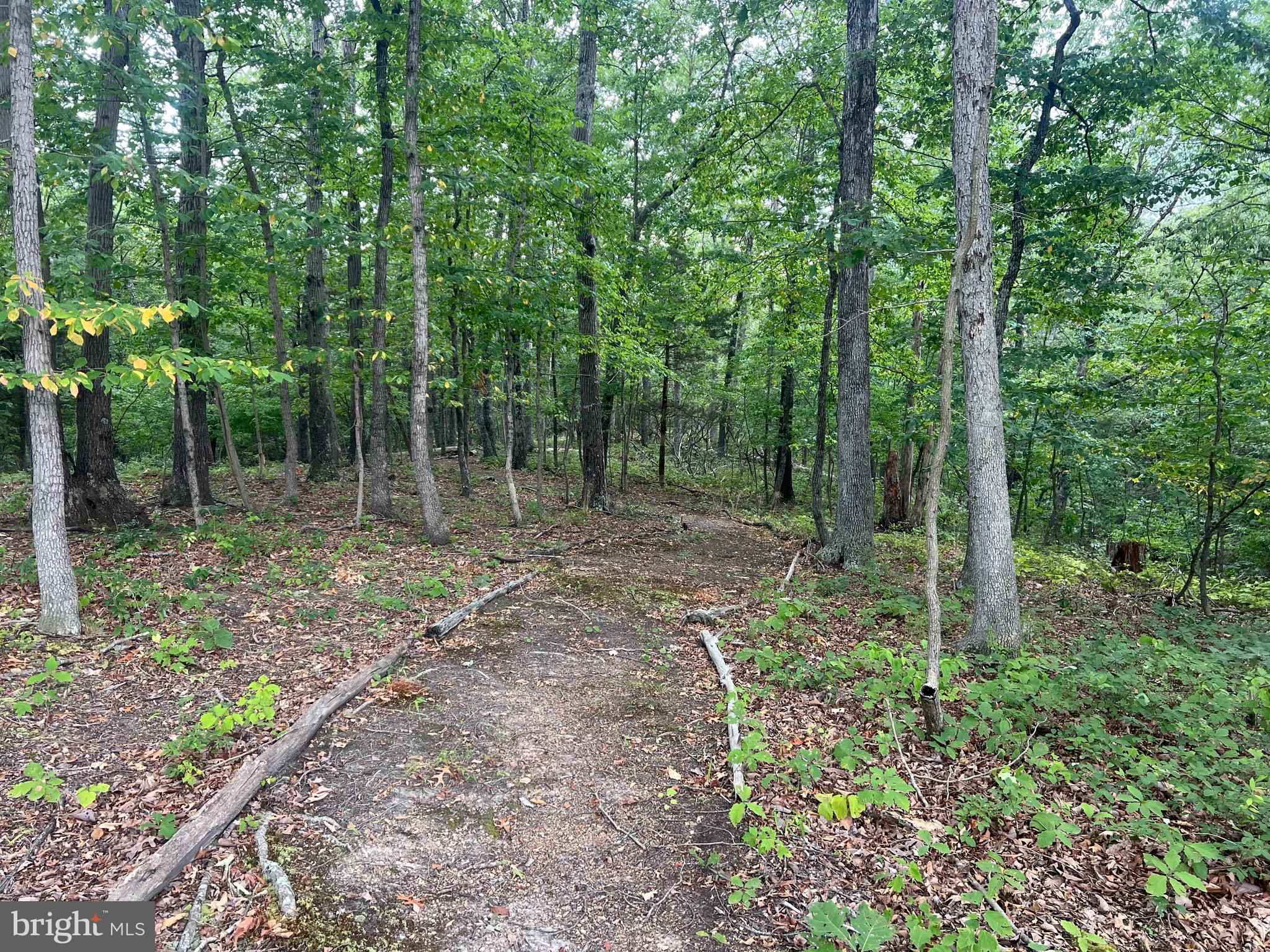 Lot 36 Red Hawk Road Middletown, VA 22645 - Photo 6 of 18